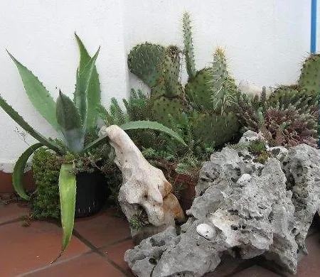 Studio Holy Trinity Apartment Novi Vinodolski