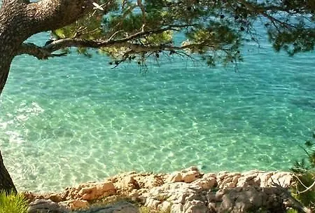 Studio Holy Trinity *