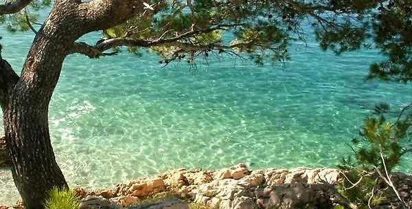 Studio Holy Trinity *